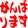 :ganbarimasu: